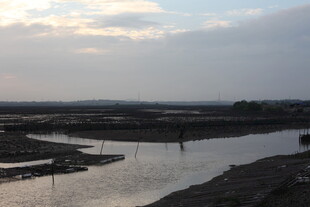 黄昏下的河岸风景