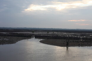 夕阳下的河畔静谧景象