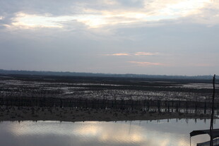 黄昏下的平静水域景观