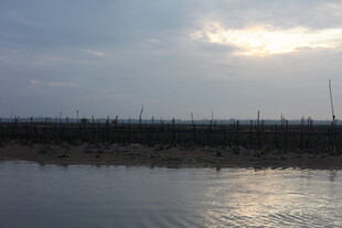 黄昏下的宁静水域景观