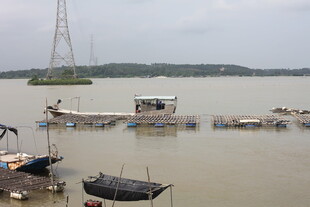 江边停泊的船只与高塔