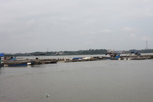 江边停泊的船只景观