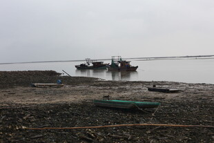 海边停泊的渔船与小船