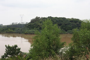 河畔绿树环绕的自然景致