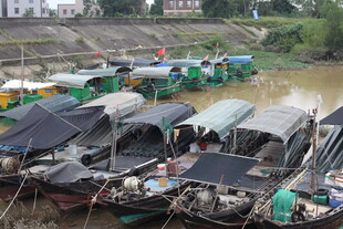 水上停泊的多彩船只