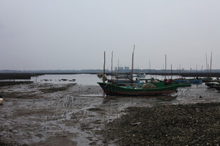 退潮时停泊在滩涂的渔船