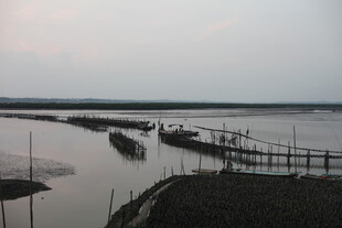 江边停泊的船只与栈桥