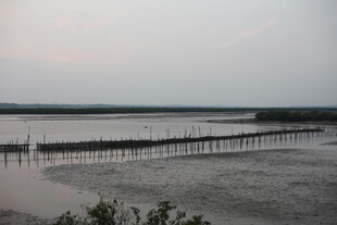 黄昏下的宁静海滨栈桥