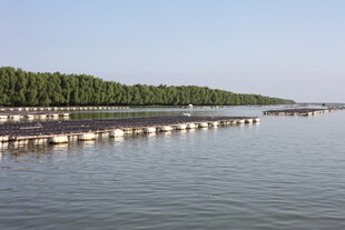 水上排列整齐的漂浮物