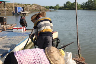 渔民码头劳作场景