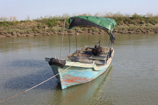 河上停泊的带篷小渔船