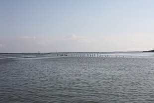 广阔海面与天际线美景