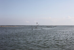 广阔水域中的孤立物体