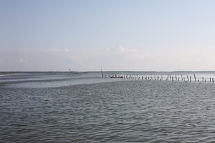 海边延伸的栈桥景观