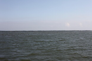 广阔海面天际微光