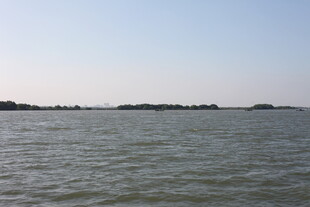 广阔水域与远处岸景