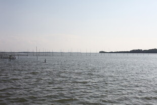 广阔海面与远处岸线景观