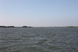 广阔水域的宁静景象