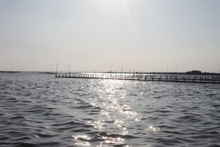 波光粼粼的海面与远处船只