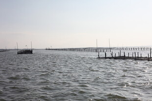 宁静海面与远处栈桥