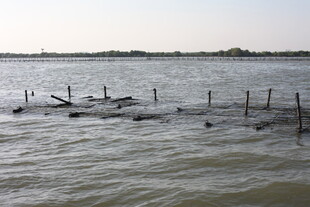 水上木桩设施景观