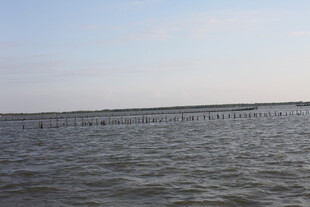 广阔海面与远处栈桥景观