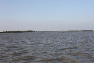 广阔水域与远处岸线景观