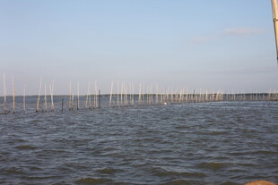 海上林立的养殖设施