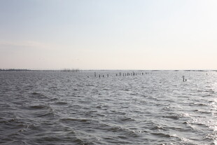 广阔海面远处隐约人影