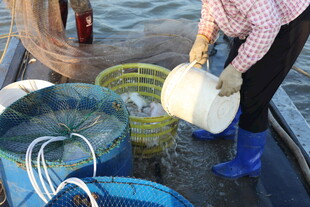 渔民船上劳作场景