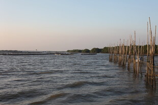 黄昏下的水边木桩景观