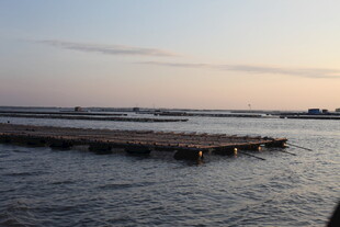 黄昏下的宁静码头