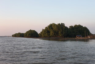 湖畔绿树成荫的美丽景致