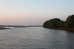 黄昏河畔的静谧自然景致