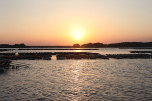 夕阳下波光粼粼的水面