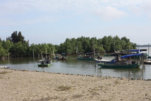 河畔小船与岸边葱郁树林