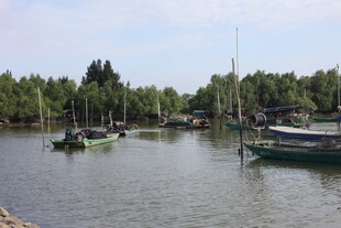 宁静湖畔停泊的多彩船只