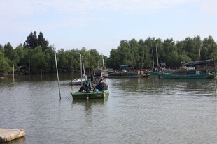 湖上小船与周边景致