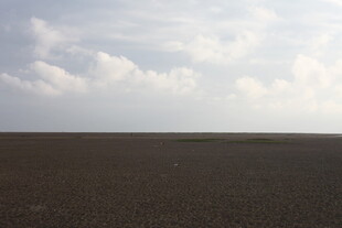 广袤田野与天际白云