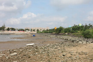 河岸风光宁静的自然景致