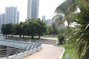 城市河畔景观步道