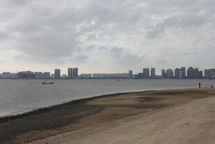 城市边的水域与岸边景象