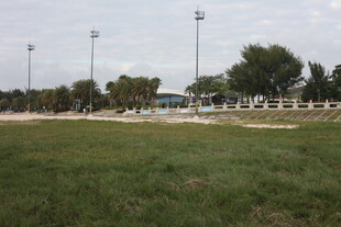 户外开阔草地与远处设施