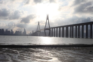 海上大桥与城市天际线