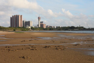 城市边的开阔沙滩景观