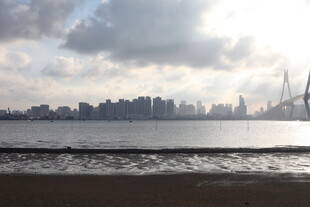 海滨城市风光远眺