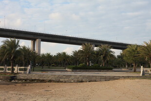 河畔高架桥风景