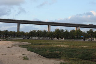 城郊高架桥与开阔草地景观