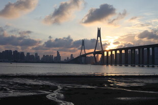 夕阳下的跨海大桥美景