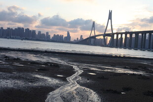 江边大桥与城市天际线